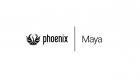 Phoenix Fluid Dynamics (Phoenix FD) for Maya представляет собой плагин для моделирования и рендеринга газообразных состояний (огня, дыма, тумана) в Autodesk Maya Phoenix Fluid Dynamics for Maya