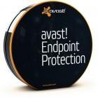 Avast Endpoint Protection обеспечивает мощную защиту всех ваших компьютеров – и вам не приходится переплачивать за защиту серверов. avast! Endpoint Protection