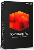 Sound Forge Pro— цифровой аудиоредактор от MAGIX (в недавнем прошлом - от Sony Creative Software), направленный на профессиональное использование. Sound Forge Pro 11