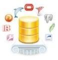 Программное обеспечение <b>UniDAC</b> представляет собой набор невизуальных компонентов для межплатформенного доступа к базам данным UniDac